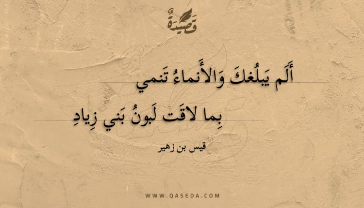 قصيدة ألم يبلغك والأنماء تنمي