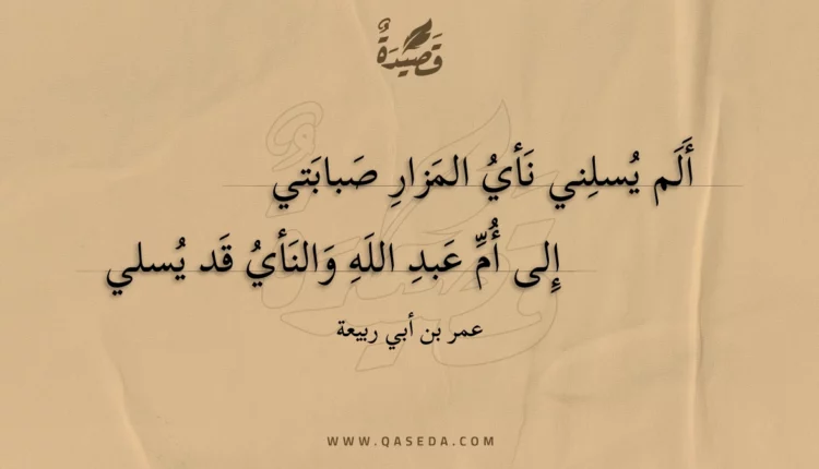 قصيدة ألم يسلني نأي المزار صبابتي