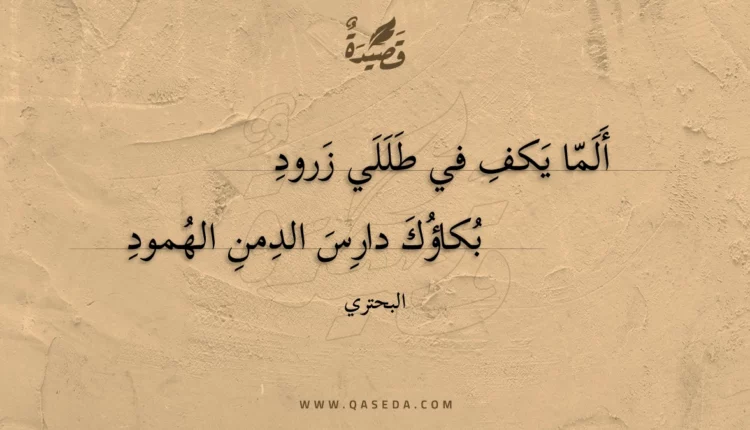 قصيدة ألما يكف في طللي زرود