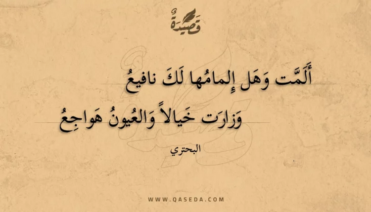 قصيدة ألمت وهل إلمامها لك نافيع