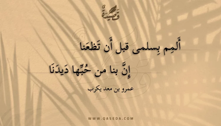 قصيدة ألمم بسلمى قبل أن تظعنا