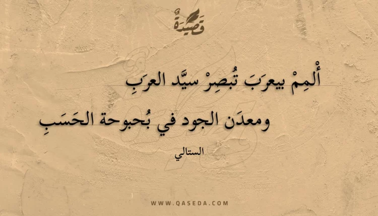 قصيدة ألمم بيعرب تبصر سيد العرب