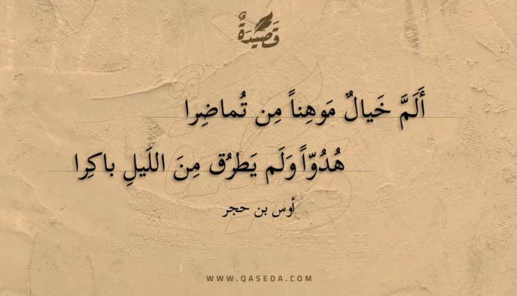 قصيدة ألمً خيال موهِناً من تُماضرا