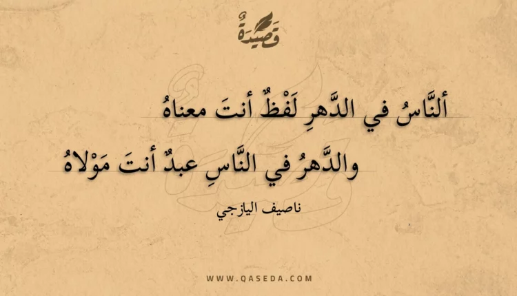 قصيدة ألناس في الدهر لفظ أنت معناه