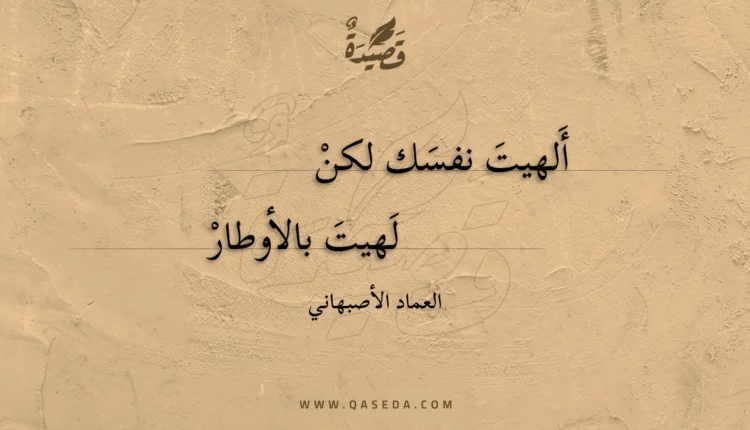 قصيدة ألهيت نفسك لكن