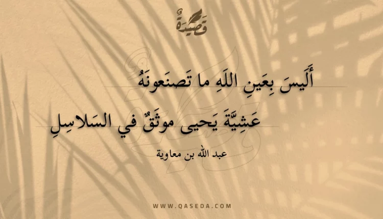 قصيدة أليس بعين الله ما تصنعونه