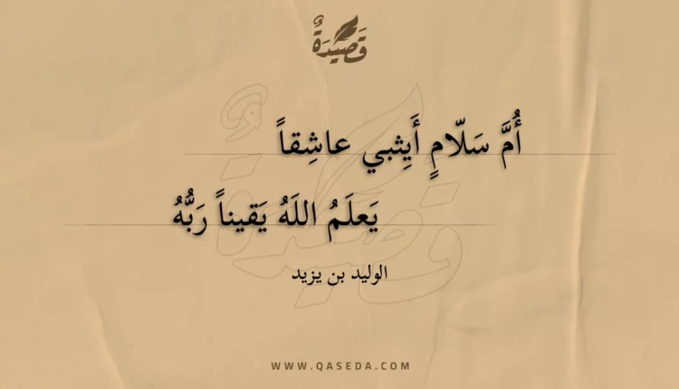 قصيدة أم سلام أيثبي عاشقا