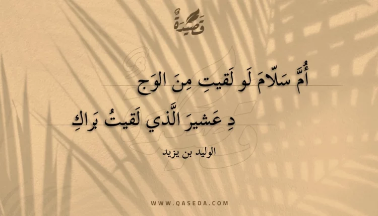 قصيدة أم سلام لو لقيت من الوجد