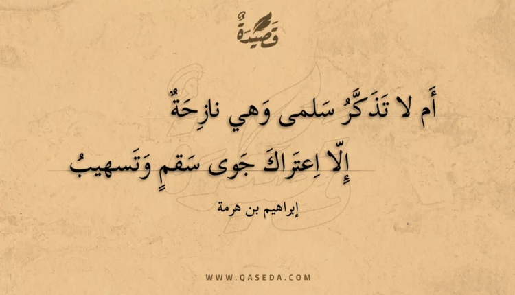 قصيدة أم لا تذكر سلمى وهي نازحة