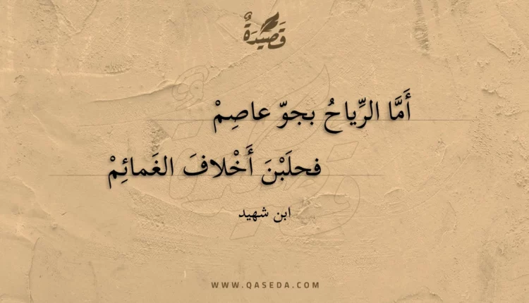 قصيدة أما الرياح بجو عاصم