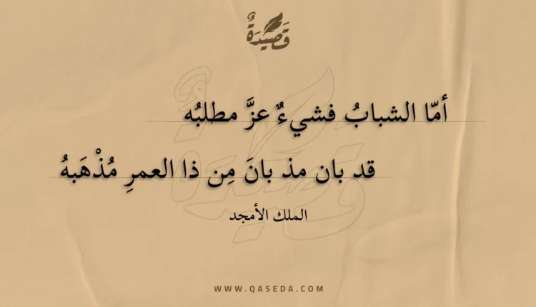 قصيدة أما الشباب فشيء عز مطلبه