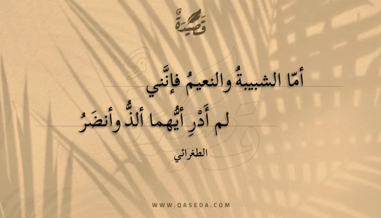 قصيدة أما الشبيبة والنعيم فإنني