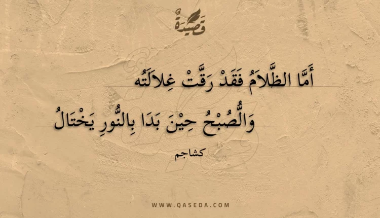 قصيدة أما الظلام فقد رقت غلالته