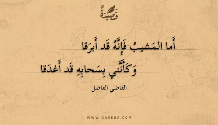 قصيدة أما المشيب فإنه قد أبرقا
