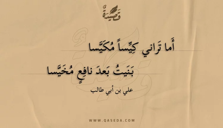 قصيدة أما تراني كيسا مكيسا