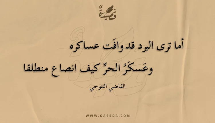 قصيدة أما ترى البرد قد وافت عساكره