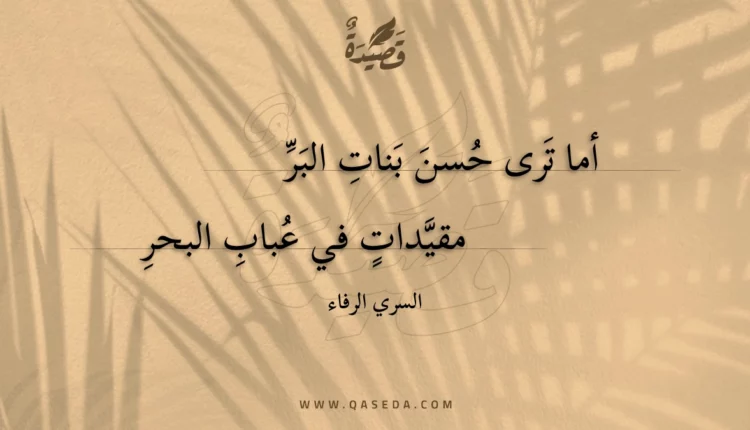 قصيدة أما ترى حسن بنات البر