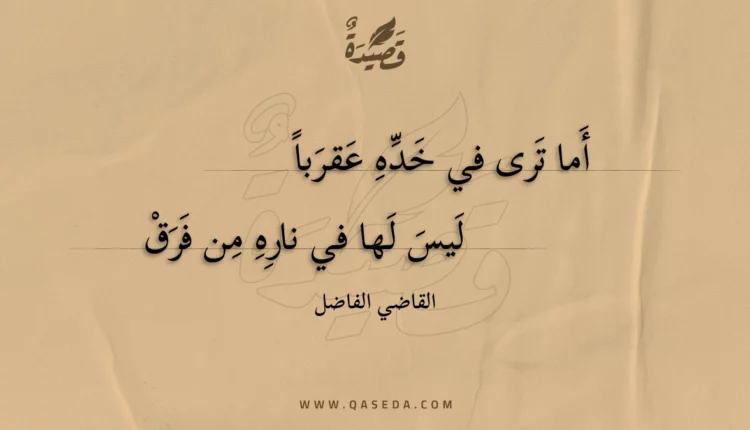 قصيدة أما ترى في خده عقربا