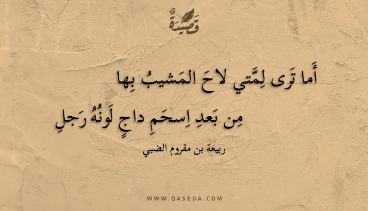 قصيدة أما ترى لمتي لاح المشيب بها