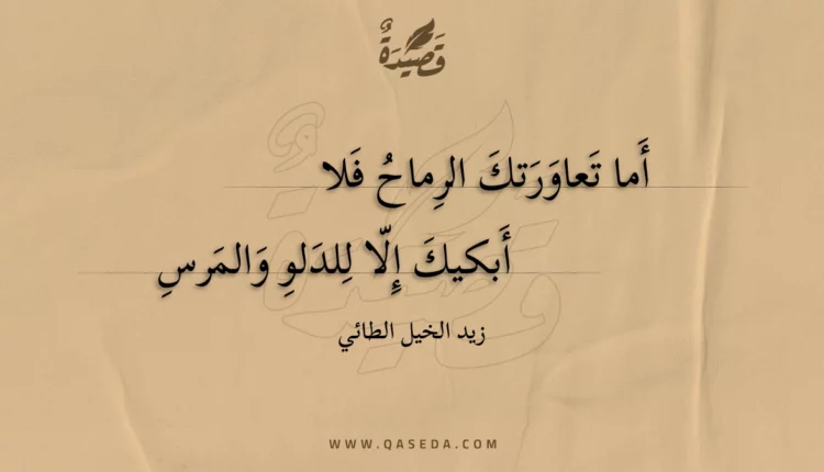 قصيدة أما تعاورتك الرماح فلا