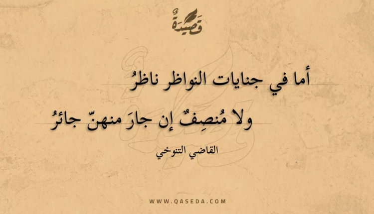 قصيدة أما في جنايات النواظر ناظر