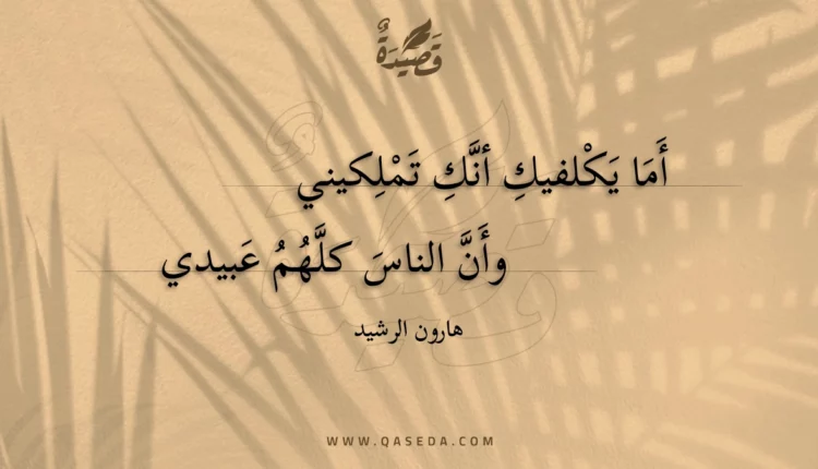 قصيدة أما يكلفيك أنك تملكيني