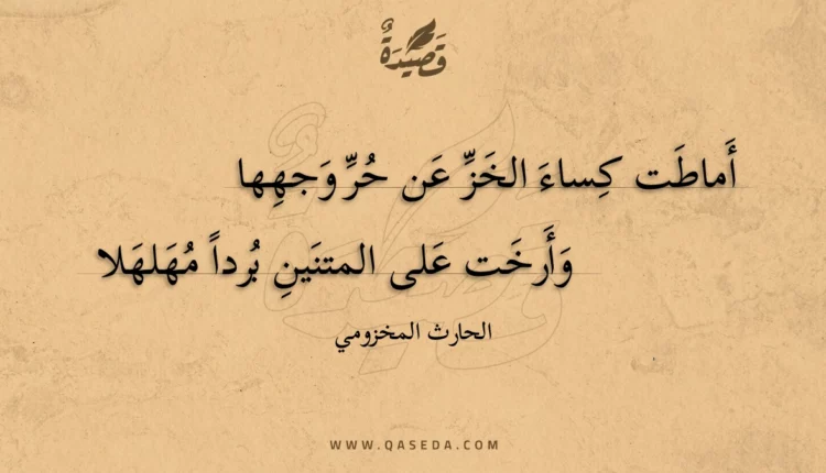 قصيدة أماطت كساء الخز عن حر وجهها