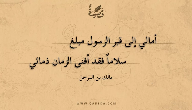 قصيدة أمالي إلى قبر الرسول مبلغ