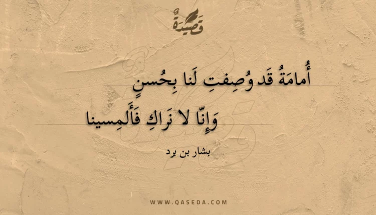 قصيدة أمامة قد وصفت لنا بحسن
