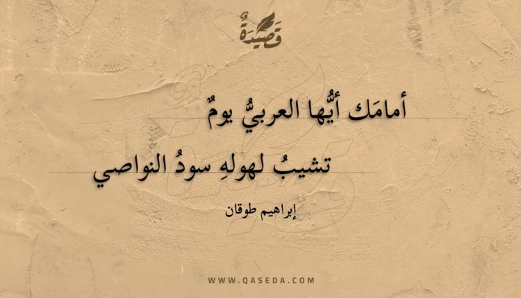 قصيدة أمامك أيها العربي يوم