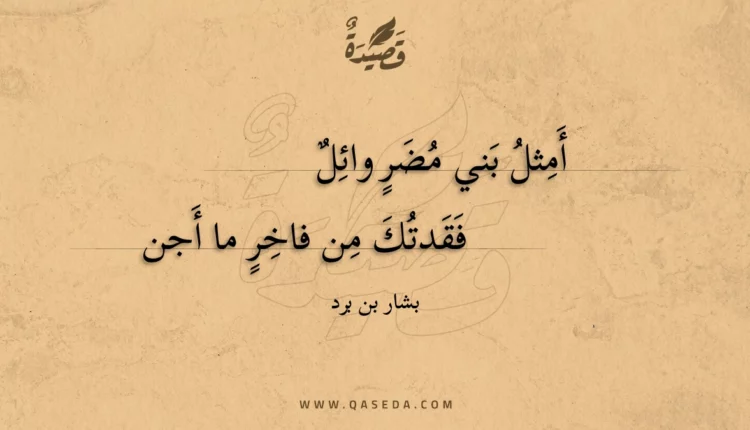 قصيدة أمثل بني مضر وائل