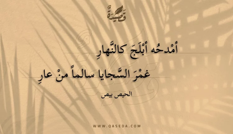 قصيدة أمدحه أبلج كالنهار