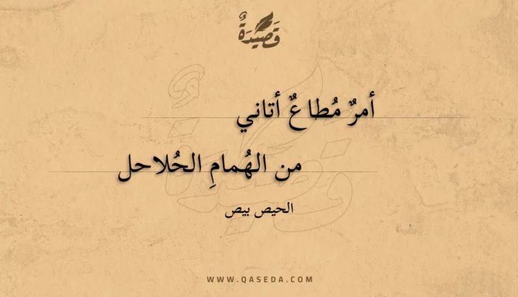 قصيدة أمر مطاع أتاني