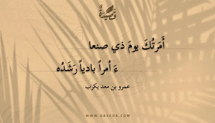 قصيدة أمرتك يوم ذي صنعاء