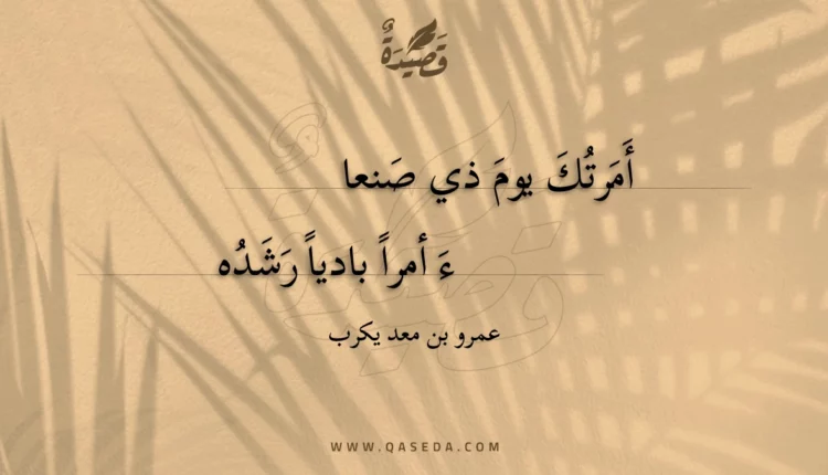 قصيدة أمرتك يوم ذي صنعاء أمرا