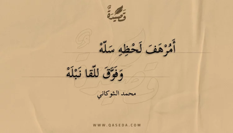 قصيدة أمرهف لحظه سله