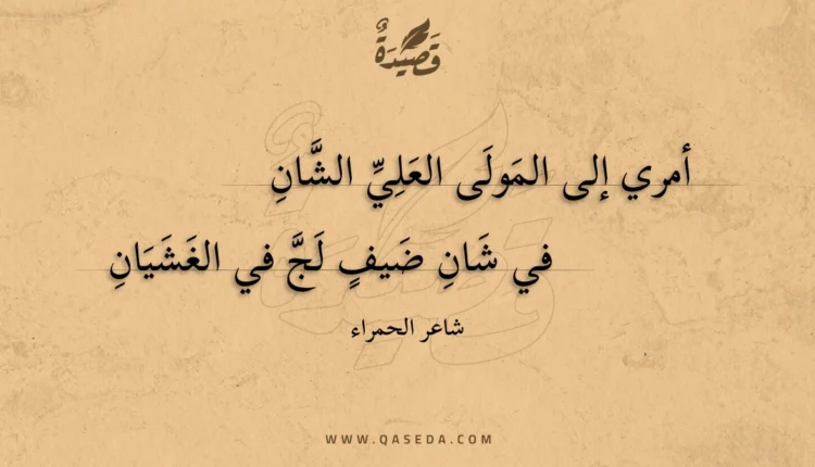 قصيدة أمري إلى المولى العلي الشان