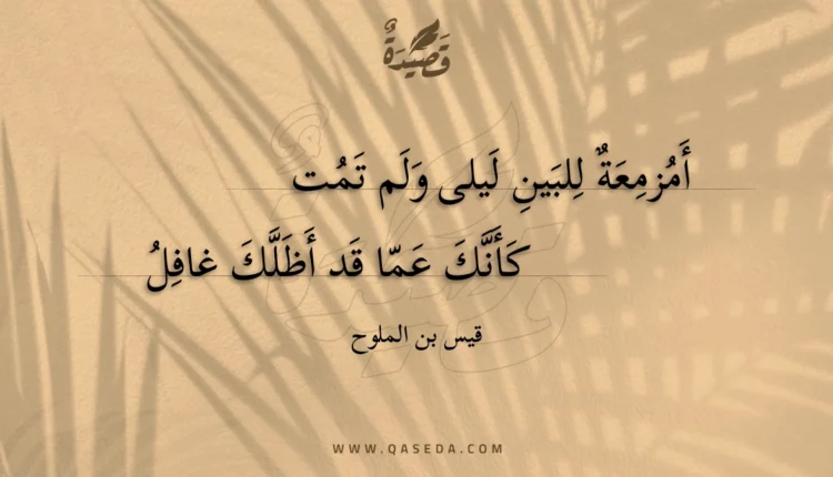 قصيدة أمزمعة للبين ليلى ولم تمت