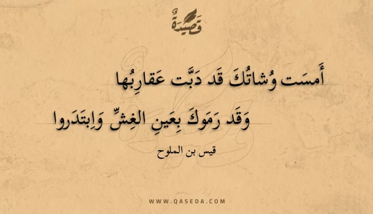 قصيدة أمست وشاتك قد دبت عقاربها