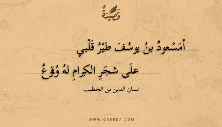 قصيدة أمسعود بن يوسف طير قلبي