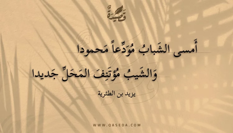 قصيدة أمسى الشباب مودعا محمودا