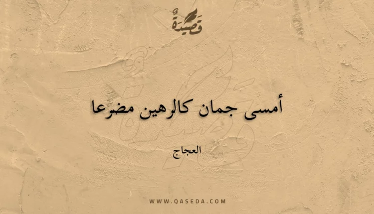 قصيدة أمسى جمان كالرهين مضرعا