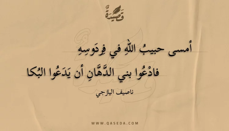 قصيدة أمسى حبيب الله في فردوسه