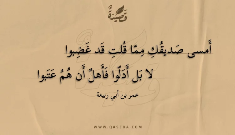 قصيدة أمسى صديقك مما قلت قد غضبوا
