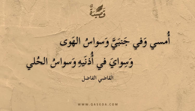 قصيدة أمسي وفي جنبي وسواس الهوى
