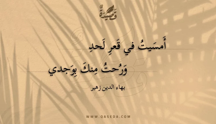 قصيدة أمسيت في قعر لحد