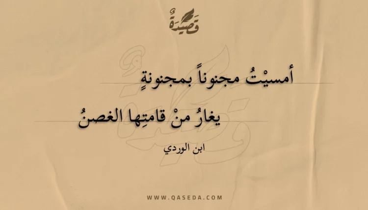 قصيدة أمسيت مجنونا بمجنونة