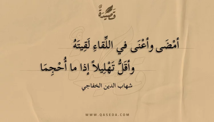 قصيدة أمضى وأعنى في اللقاء لقيته