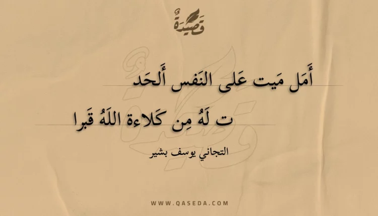 قصيدة أمل ميت على النفس ألحد