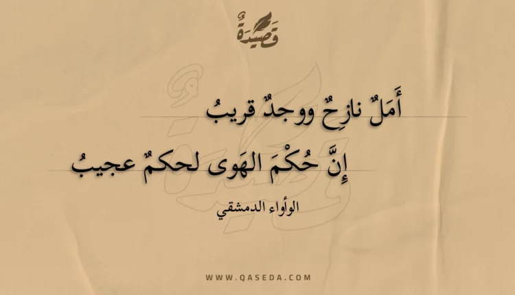 قصيدة أمل نازح ووجد قريب